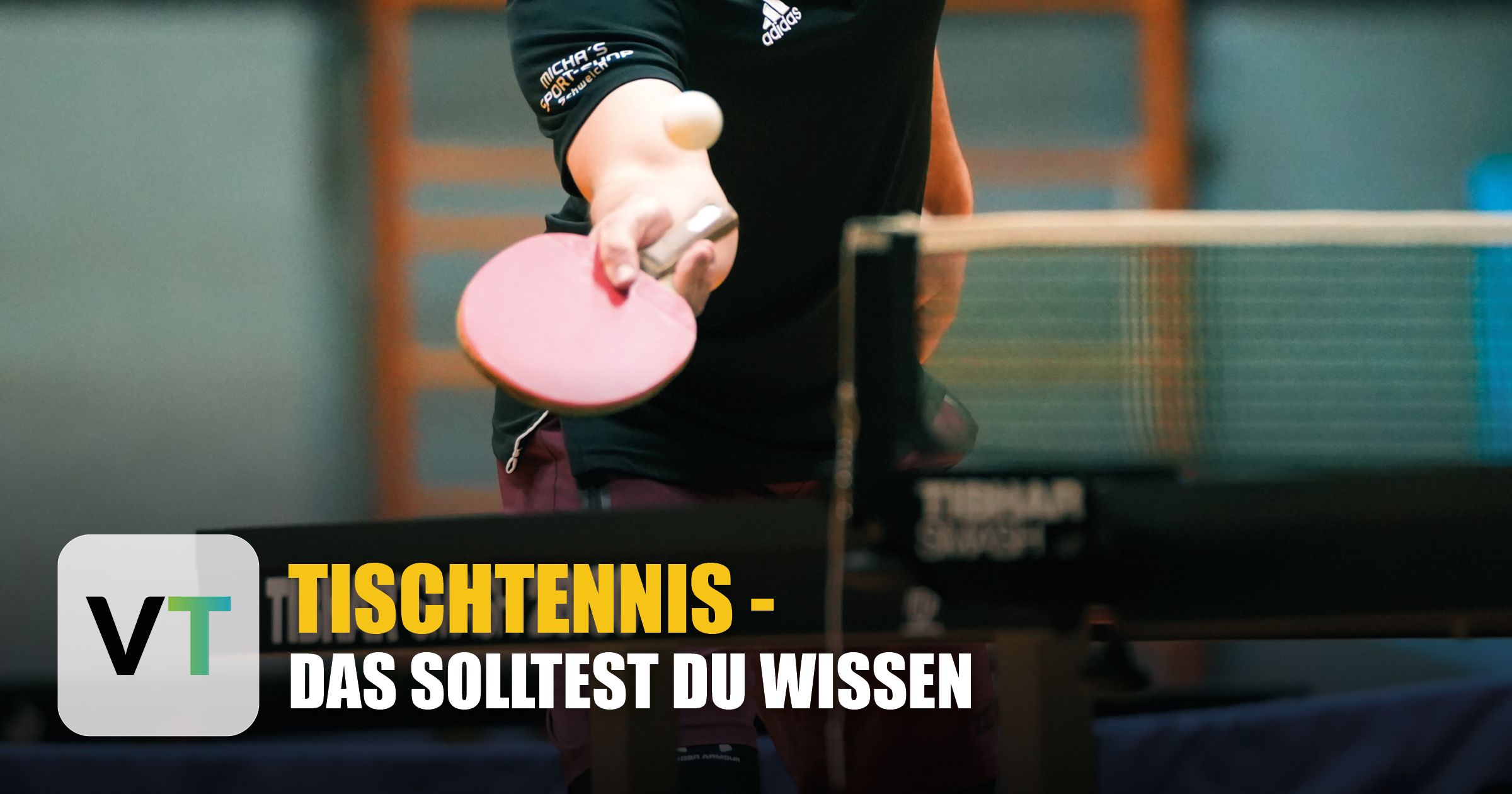 Alles, was du über Tischtennis wissen musst 
