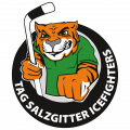 TAG Salzgitter Icefighters Logo