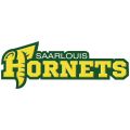 Saarlouis Hornets Logo