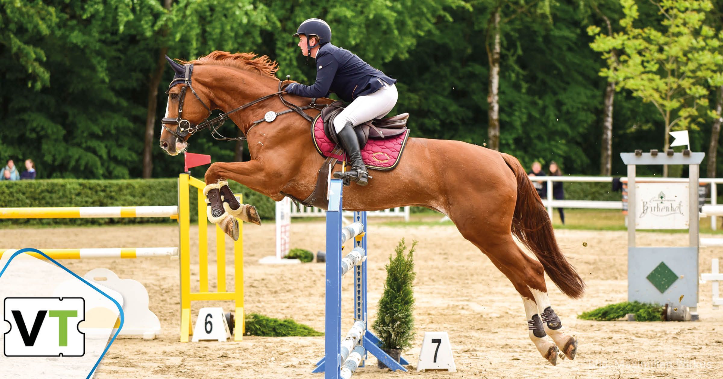 Springreiterin und Pferd überspringen Hindernis bei Saarburger Reitertagen
